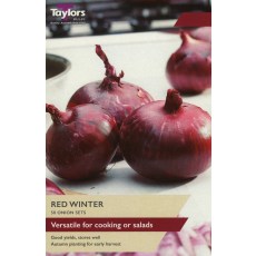 TAYLORS Onion Red Winter