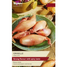 TAYLORS Shallot Griselle