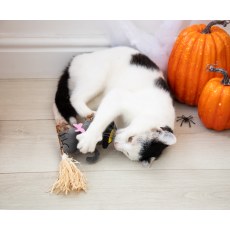 Witchy Kitty