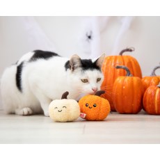 Pumpkin Pals