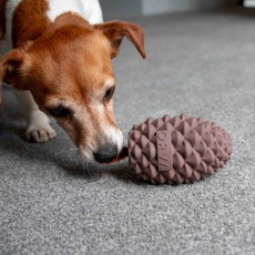 ANCOL Orva Large Pine Cone - Medium Chewers ANCOL Orva Large Pine Cone - Medium Chewers