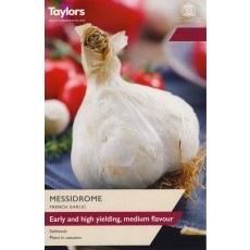 TAYLORS French Garlic Messidrome TAYLORS French Garlic Messidrome