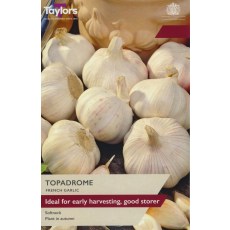 TAYLORS French Garlic Topadrome TAYLORS French Garlic Topadrome