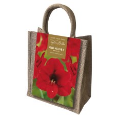 TAYLORS Amaryllis Bulb In Jute Gift Bag