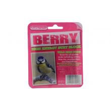 SUET TO GO Block Berry & Bugs    Single SUET TO GO Block Berry & Bugs    Single