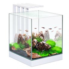 CIANO Nexus Pure 25 Aquarium With LED Light