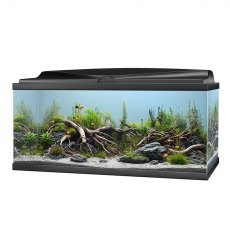 CIANO Aquarium 80 LED Black *New*