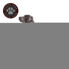 ANCOL Stormguard Dog Coat Chocolate S