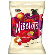 VETiq Nibblots Berry   30g VETiq Nibblots Berry   30g