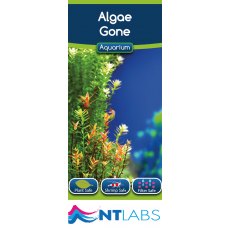 Aquarium Algae Gone 100ml