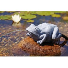 OASE Water spout - Frog