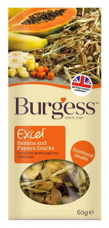 ExcelBananaPapayaSnacks
