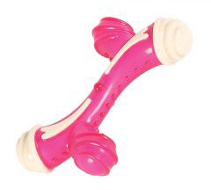 37897_little_rascals_play_chew_bone