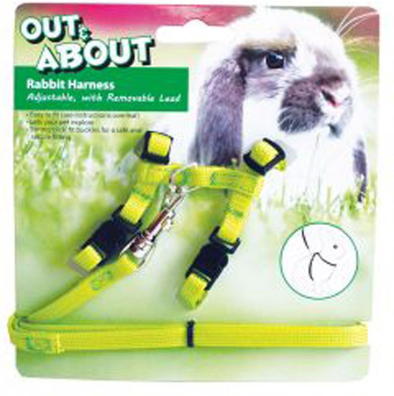 10852_rabbit_harness_and_lead_green_copy
