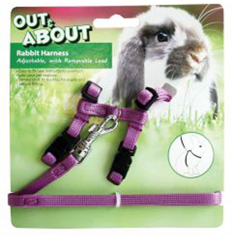 10851_rabbit_harness_and_lead_purple_copy