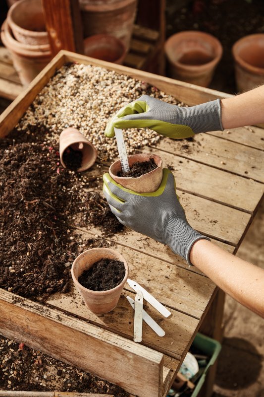 4520003 - Seed & Weed - Green - Medium - Insitu