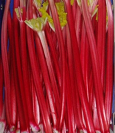 FRUITRHUBARBRASPBERRYREDLARGE