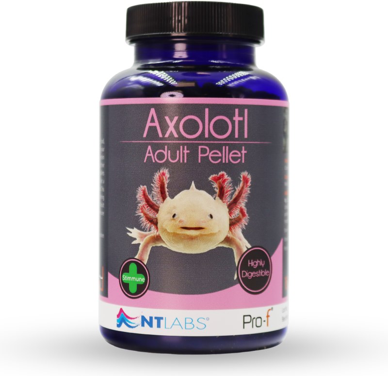 Axolotl Adult 165g FR