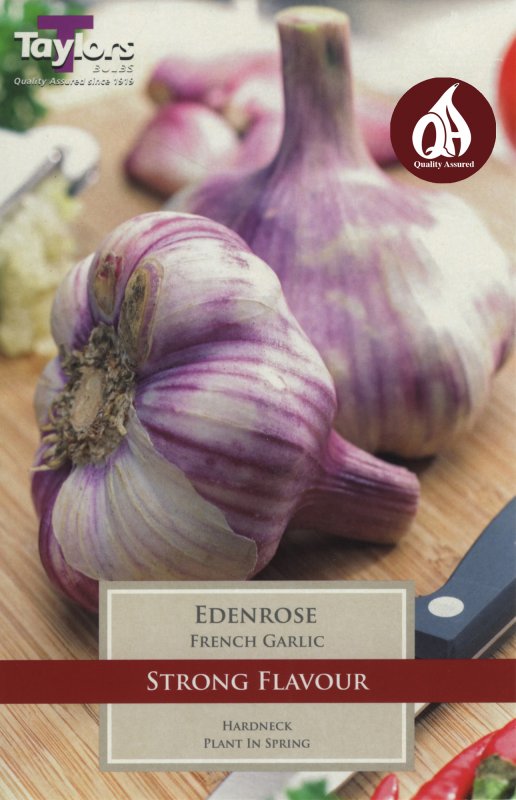 SVEG9G French Garlic Edenrose.jpeg