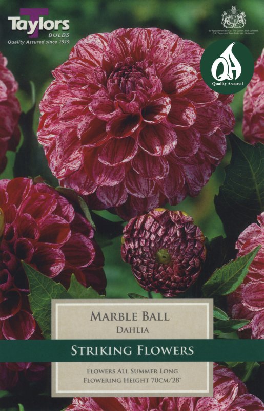 TS471 Marble Ball.jpeg