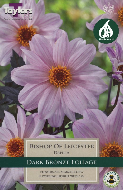 TS463 Bishop of Leicester