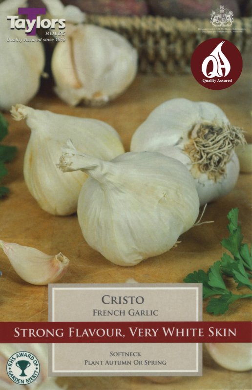 SVEG9A French Garlic Cristo.jpeg