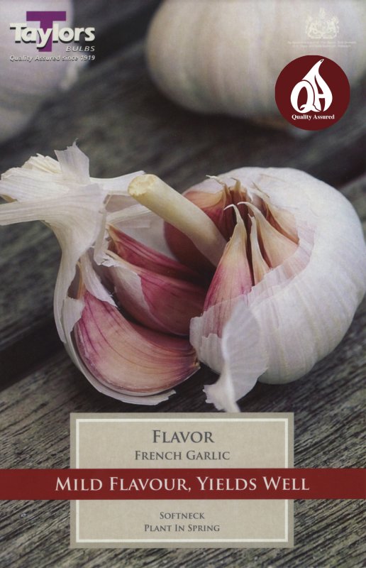 SVEG9F French Garlic Flavor.jpeg