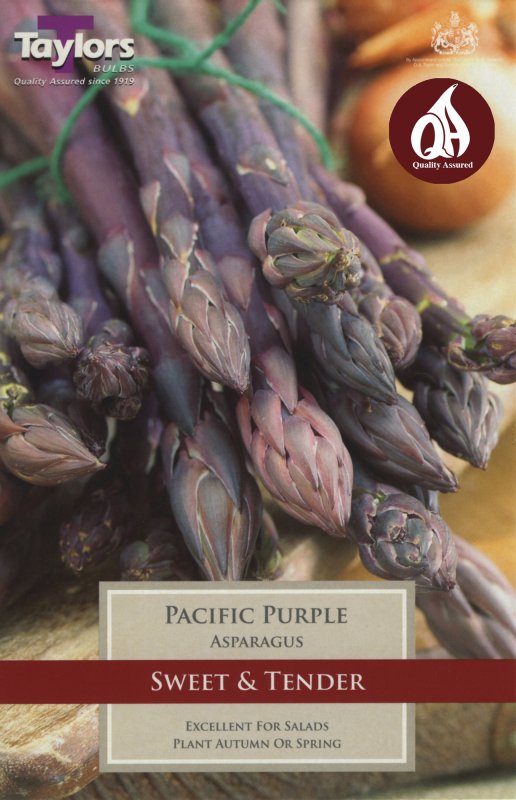 SVEG10 Asparagus Pacific Purple.jpeg