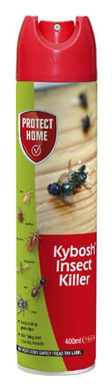 PROTECT HOME_86600249_Kybosh