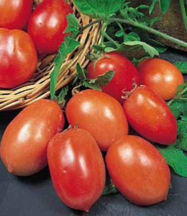 VEGTOMATOSANMARZANOLARGE