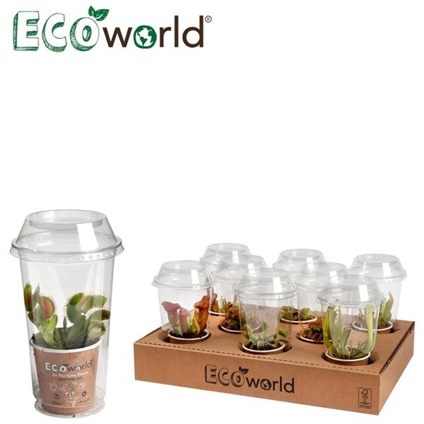 328750 Aw Ecoworld Carni in Cup 10cm