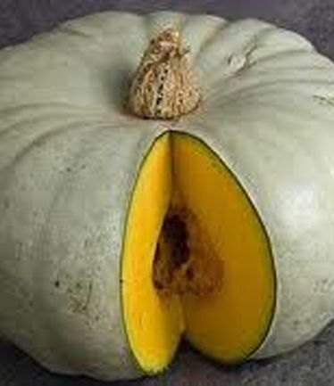 VEGSQUASHCROWNPRINCELARGE