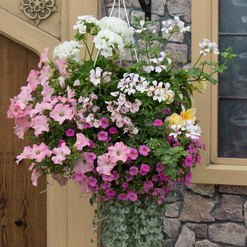 Speedplanter Bridal Bouquet 02