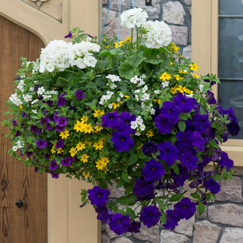 Speedplanter Nautical Chic Basket