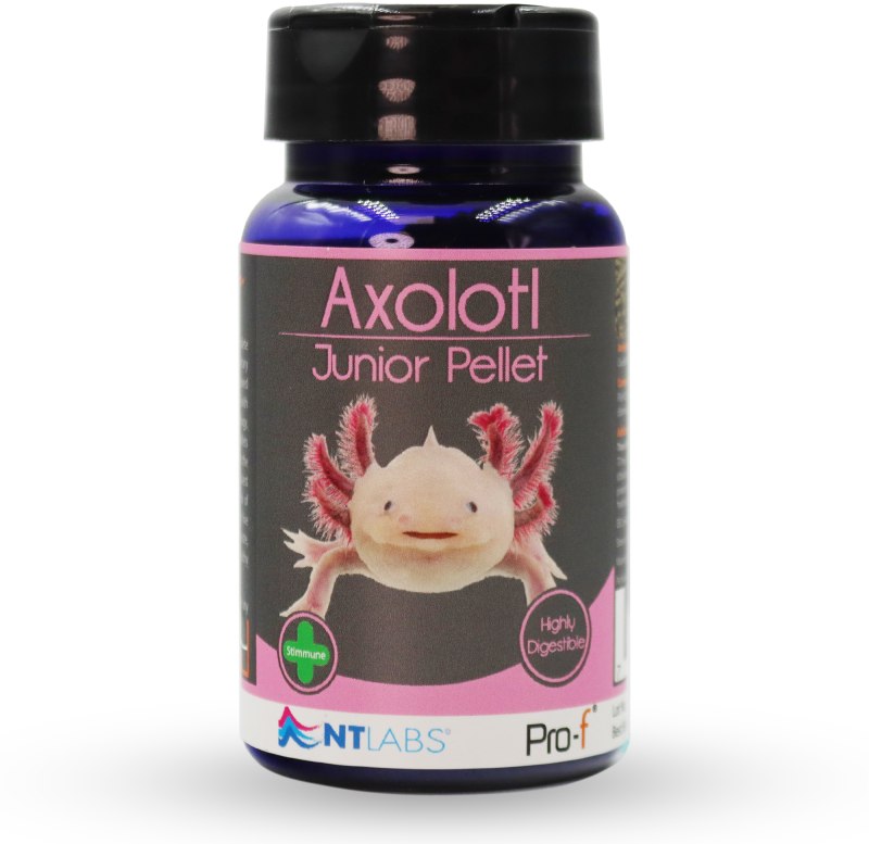 Axolotl Junior 60g FR