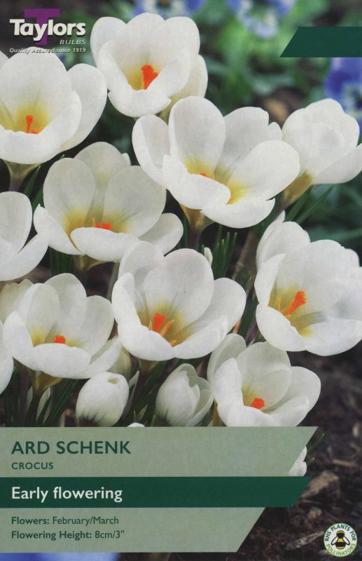TP671 Ard Schenk