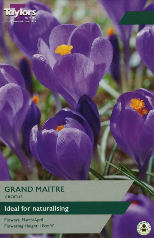 TP652 Grand Maitre