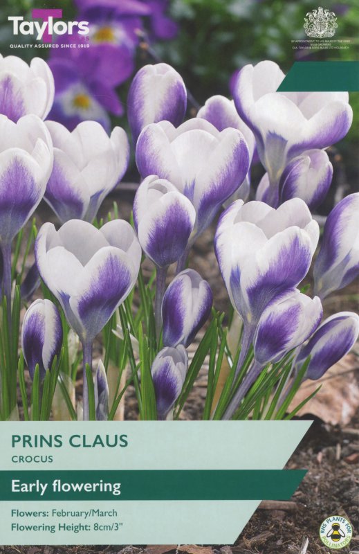 TP673-Prins-Claus