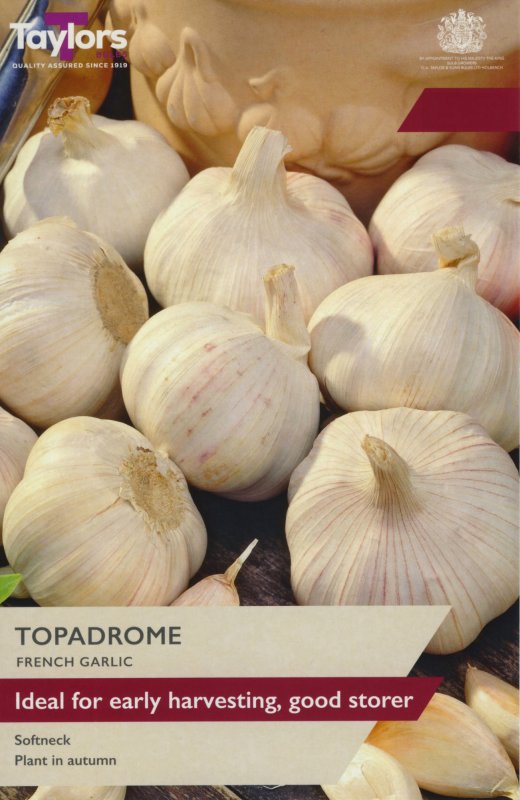 AVEG9J-Garlic-Topadrome