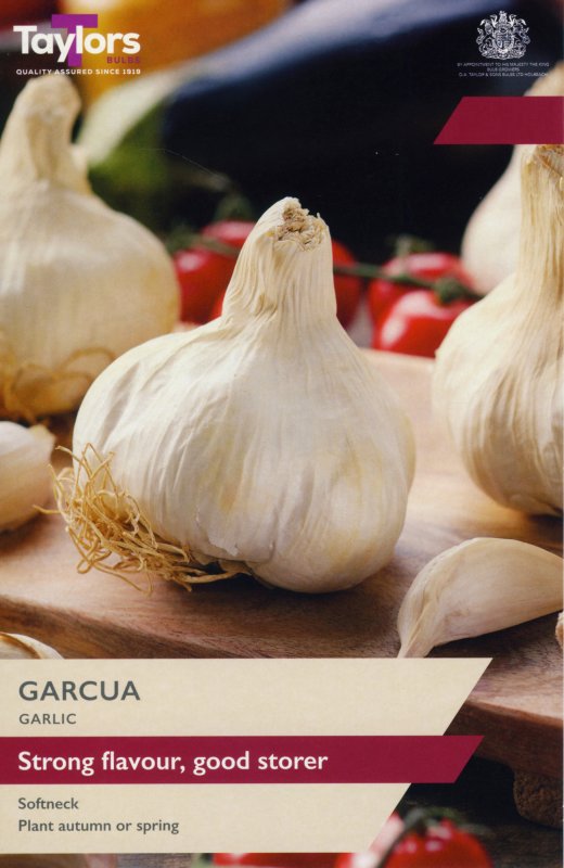 AVEG19-Garlic-Garcua