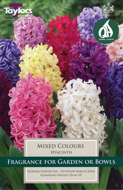 TP622 Mixed Colours - Garden