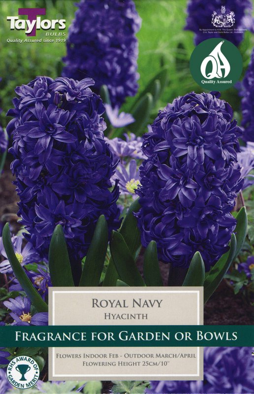TP642 Royal Navy - Garden