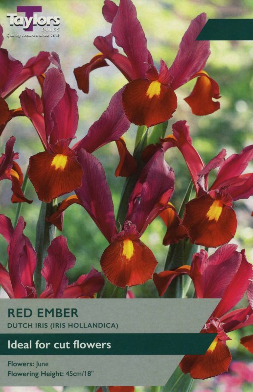 TP847 Iris Red Ember.jpeg