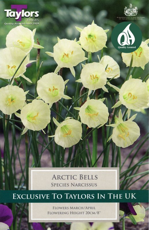 TP279 Arctic Bells