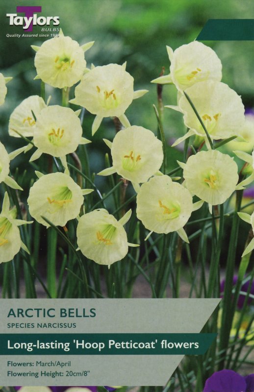 TP279-Arctic-Bells