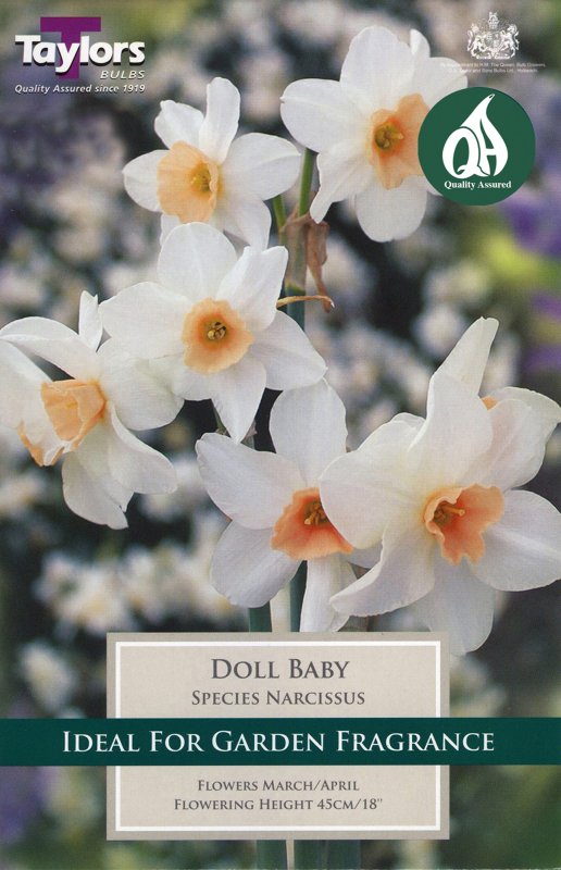 TP208 Doll Baby