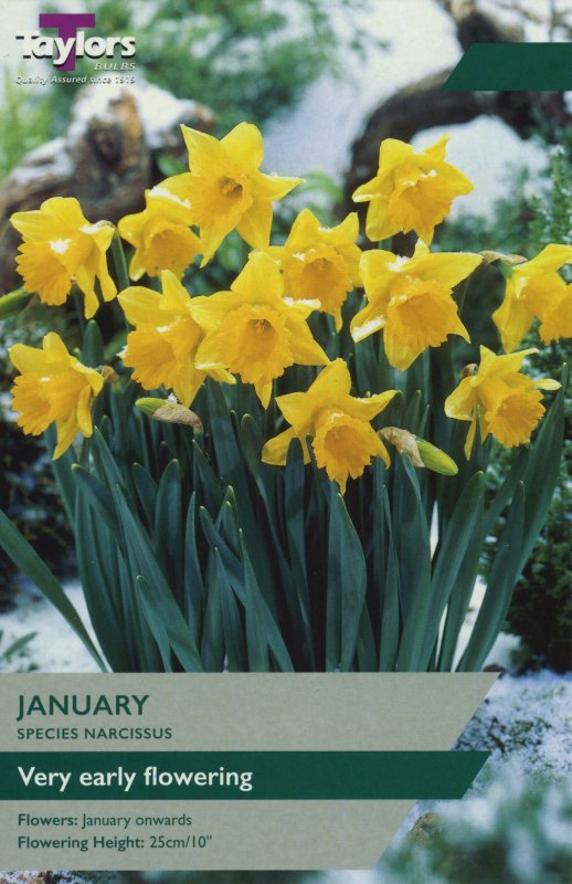 TP221 January