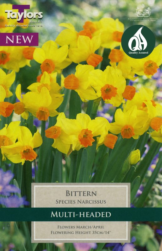 TP204 Bittern.jpeg