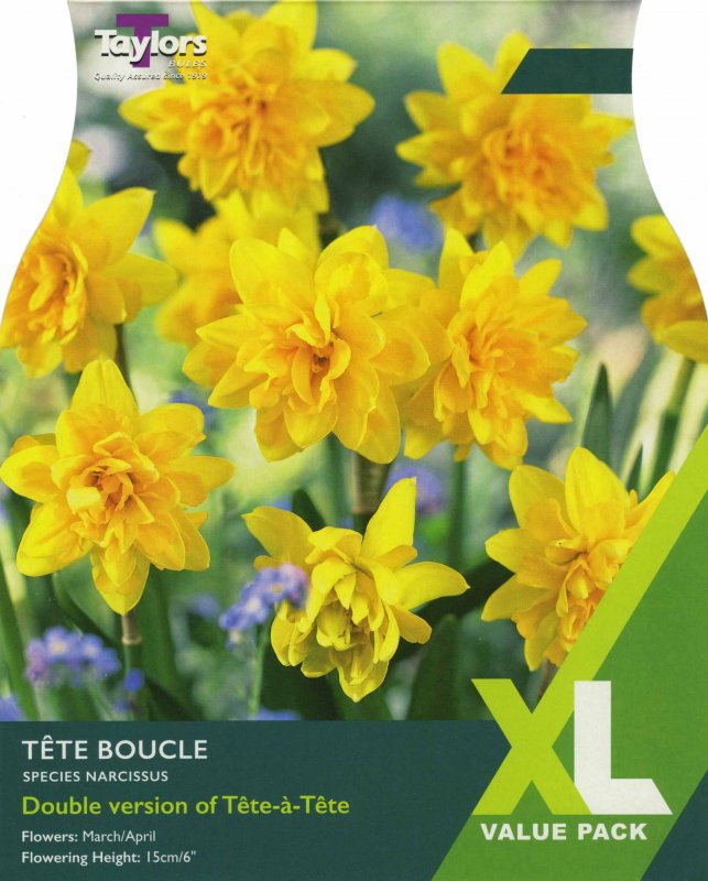 XL257 Tete Boucle