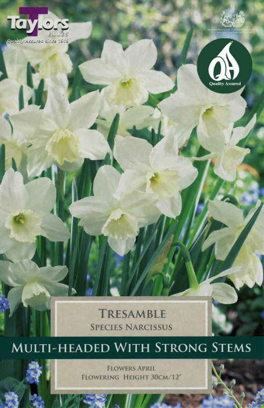 TP1131 Tresamble.jpeg